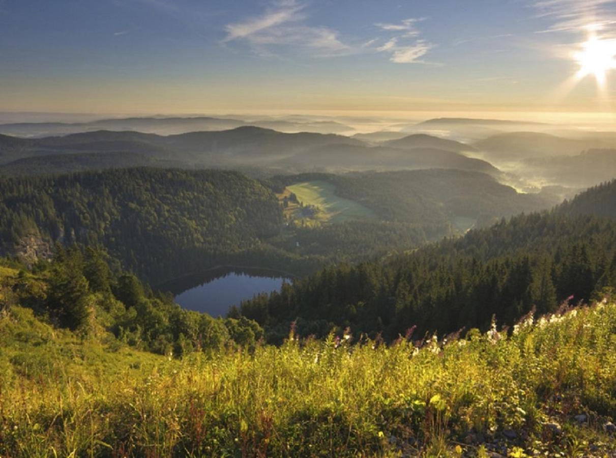 Ferienwohnung Zwischen Rhein Und Schwarzwald Bischweier Екстериор снимка
